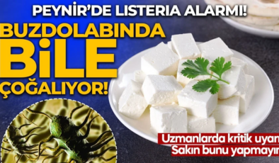 Peynirde Listeria alarmı: Buzdolabında bile çoğalabiliyor! Uzmanlardan tek tek anlattı