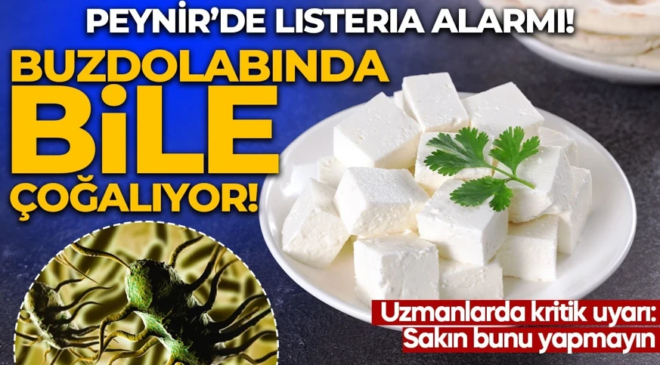 Peynirde Listeria alarmı: Buzdolabında bile çoğalabiliyor! Uzmanlardan tek tek anlattı