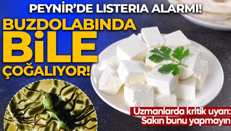 Peynirde Listeria alarmı: Buzdolabında bile çoğalabiliyor! Uzmanlardan tek tek anlattı
