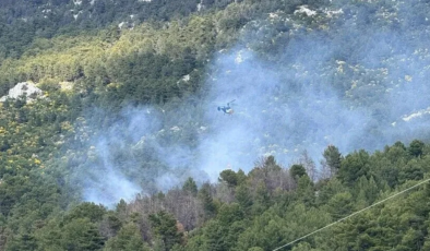 Antalya’nın Kaş ilçesinde orman yangını