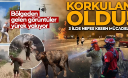 Orman yangınları kabusu başladı! Dört bir yanımızdan korkutan haberler geliyor! İşte yangınlardaki son durum…