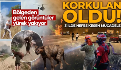 Orman yangınları kabusu başladı! Dört bir yanımızdan korkutan haberler geliyor! İşte yangınlardaki son durum…
