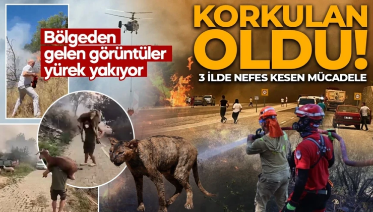 Orman yangınları kabusu başladı! Dört bir yanımızdan korkutan haberler geliyor! İşte yangınlardaki son durum…