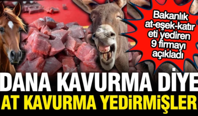 9 üründe at-eşek eti tespit edildi