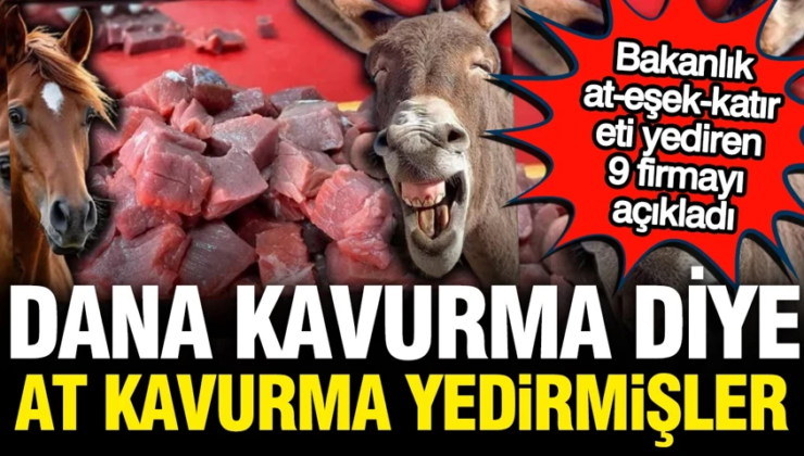 9 üründe at-eşek eti tespit edildi