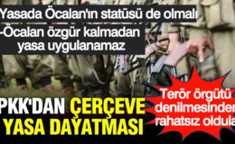 PKK’dan çerçeve yasada Öcalan dayatması: Özgürlüğünü şart koştu