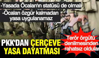 PKK’dan çerçeve yasada Öcalan dayatması: Özgürlüğünü şart koştu