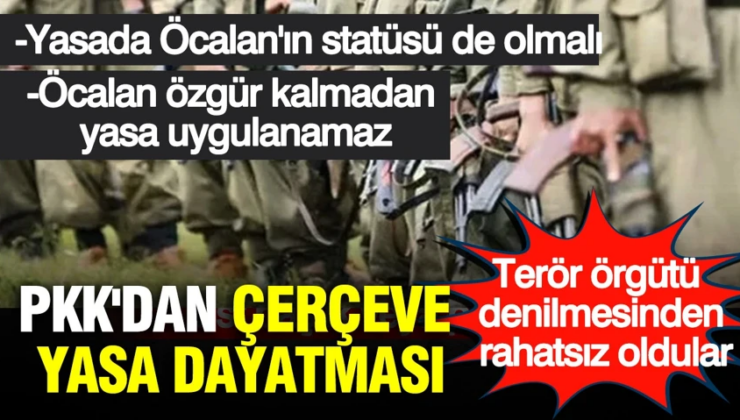 PKK’dan çerçeve yasada Öcalan dayatması: Özgürlüğünü şart koştu