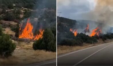 Isparta'da orman yangını! Alevler yangını büyüttü