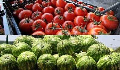 İstanbul'da haziranda en çok karpuz ve domates tüketildi