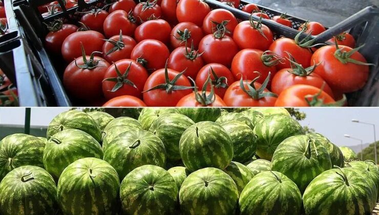 İstanbul'da haziranda en çok karpuz ve domates tüketildi