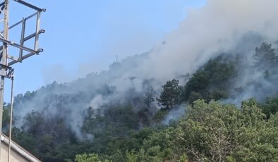 Kastamonu'da çıkan orman yangınına müdahale ediliyor