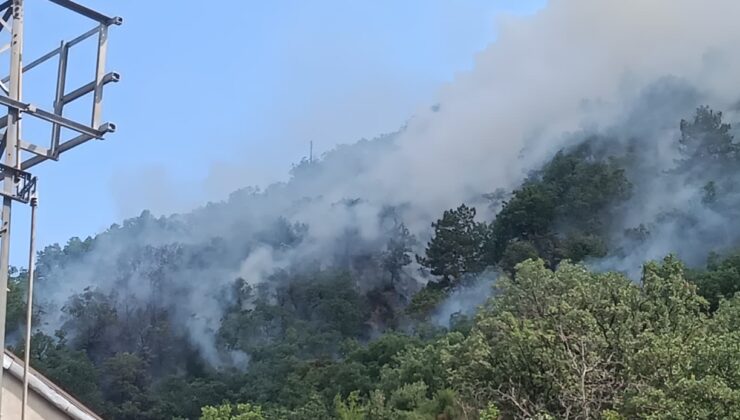 Kastamonu'da çıkan orman yangınına müdahale ediliyor