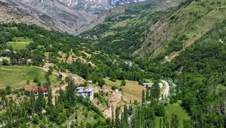 Kimsenin cesaret edemediğini yaptı: Tek başına yılda 2 ton üretiyor