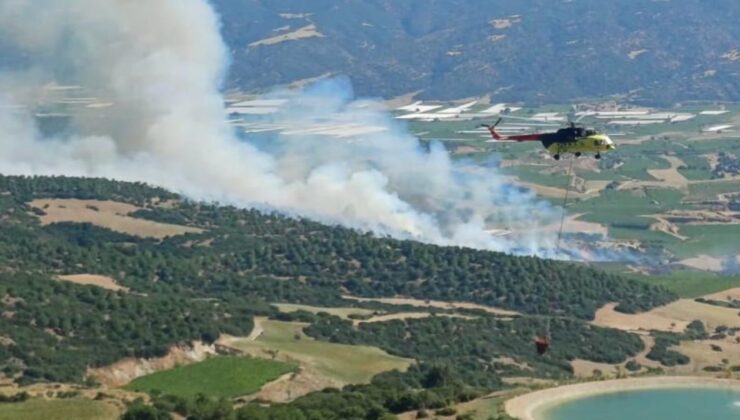 Manisa ve Muğla'daki orman yangınları kontrol altında