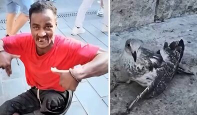 Martıların kanat ve bacaklarını falçatayla kesen cani bakın kim çıktı