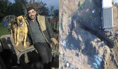 MHP’li belediyenin köpek katliamını ifşa edenlere dava, belediyeye takipsizlik