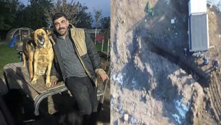 MHP’li belediyenin köpek katliamını ifşa edenlere dava, belediyeye takipsizlik