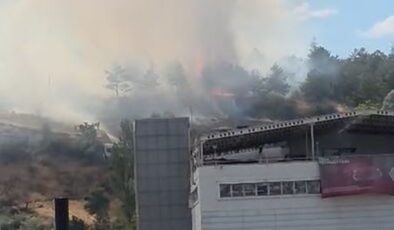 ODTÜ Ormanı'nda yangın