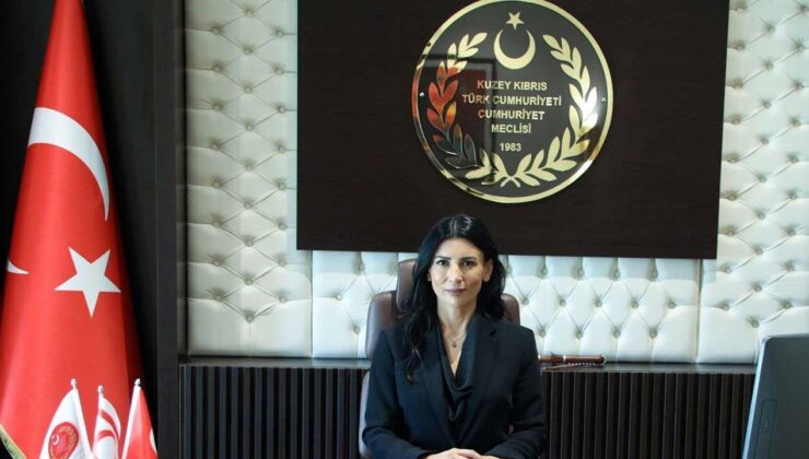 Özdenefe: AP, Kıbrıslı Türk kadınları ve adadaki gerçekliği yok saydı