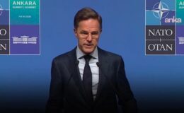 Rutte'den Ankara'da iktidara örtülü eleştiri: Medya önemli toplantılara katılabilmeli