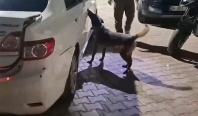 Sakarya'da uyuşturucu çetesine operasyonu