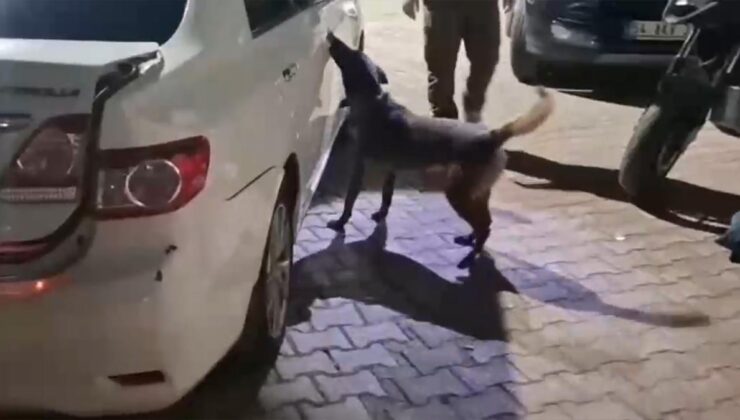 Sakarya'da uyuşturucu çetesine operasyonu
