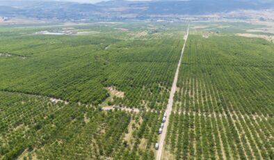 Sınırları kaldırınca köyün kaderi değişti: Üretim 30 kat arttı