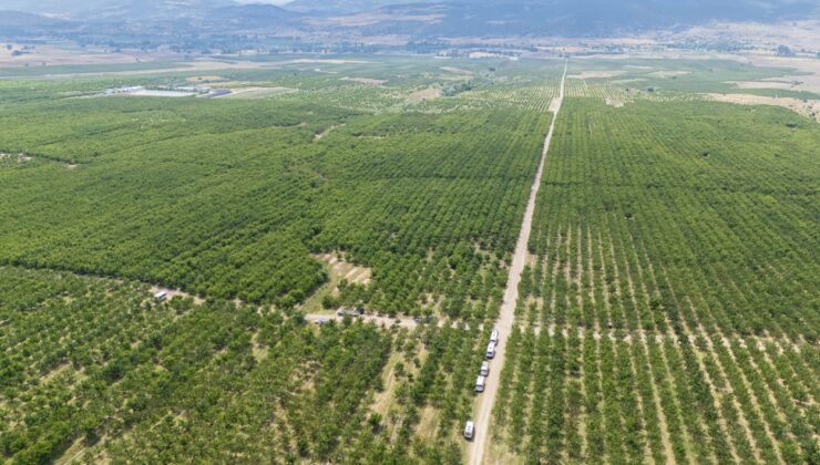 Sınırları kaldırınca köyün kaderi değişti: Üretim 30 kat arttı
