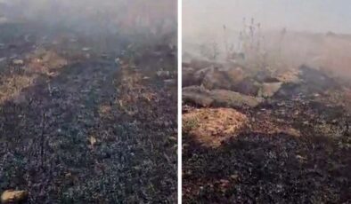 Şırnak’ta Ziraat Fakültesi’nin bahçesinde yangın