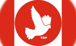 TDP: “Özgür basın, demokratik toplumun vazgeçilmez güvencesidir”