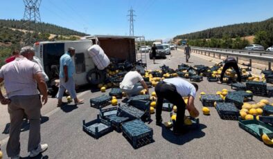 Tonlarca kavun yola saçıldı