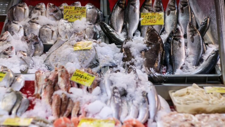 Türkiye o üç balığı dünyaya satarak milyar dolarlar kazandı: Rusya ve İtalya sıraya girdi