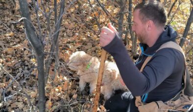 Türkiye'de topraktan 890 milyon liralık servet fışkırdı: 22 ton bulundu