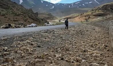 Van'da tonlarcası doğaya bırakıldı ama büyük felakete yol açacak