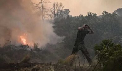 Yunanistan'ın Tesalya bölgesinde orman yangını çıktı