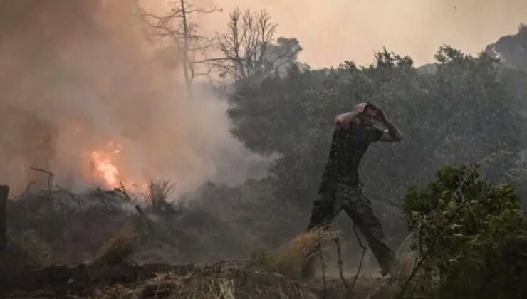 Yunanistan'ın Tesalya bölgesinde orman yangını çıktı