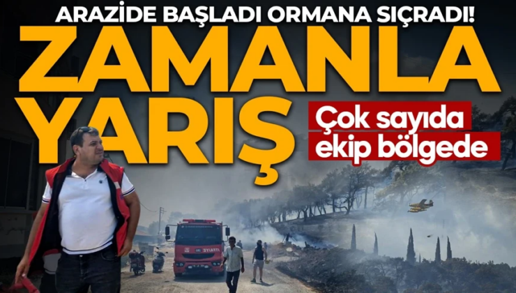 Arazide başladı ormana sıçradı! Balıkesir’de korkutan yangın: Çok sayıda ekip bölgede