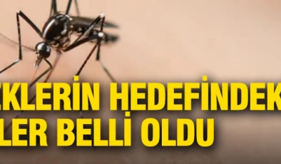 Sivrisineklerin hedefindeki kişiler belli oldu: Bilim insanları açıkladı