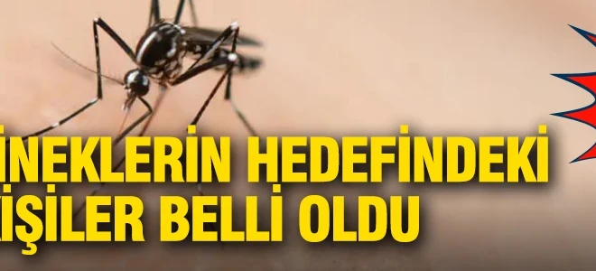 Sivrisineklerin hedefindeki kişiler belli oldu: Bilim insanları açıkladı