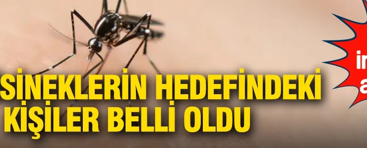 Sivrisineklerin hedefindeki kişiler belli oldu: Bilim insanları açıkladı