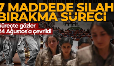Terörsüz Türkiye’de yeni aşama! Takip Kurulu devrede: Süreç adım adım izlenecek