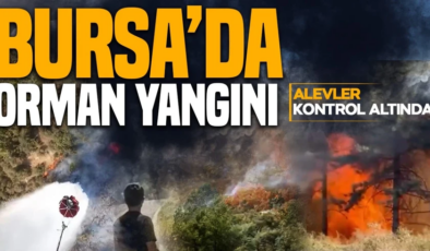 Bursa’da 3 noktada yangın! Ekipler havadan ve karadan müdahale ediyor