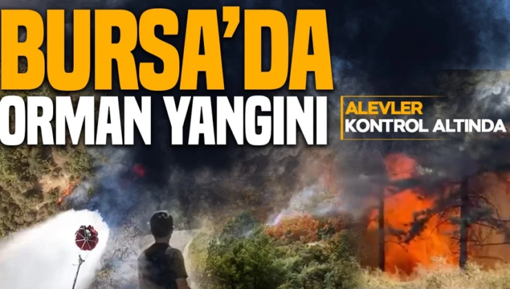 Bursa’da 3 noktada yangın! Ekipler havadan ve karadan müdahale ediyor