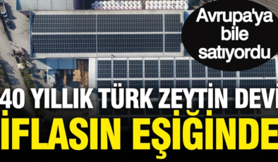 40 yıllık Türk zeytin devi iflasın eşiğinde: Avrupa’ya bile satıyordu