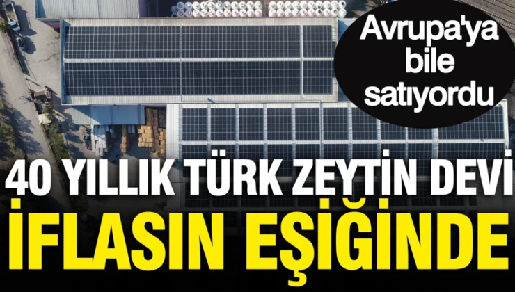 40 yıllık Türk zeytin devi iflasın eşiğinde: Avrupa’ya bile satıyordu