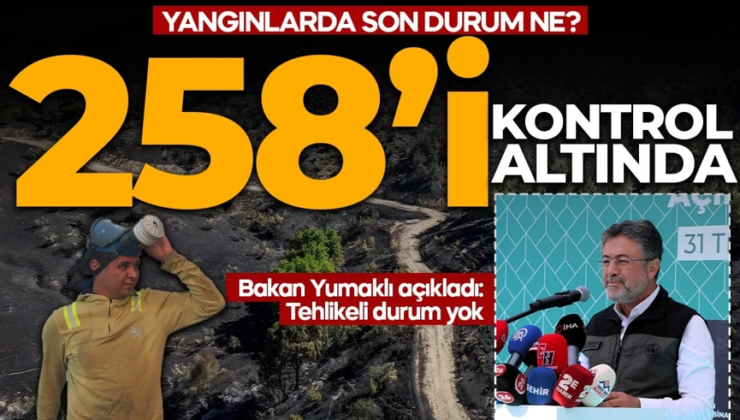 Yangınların “258’i kontrol altında”