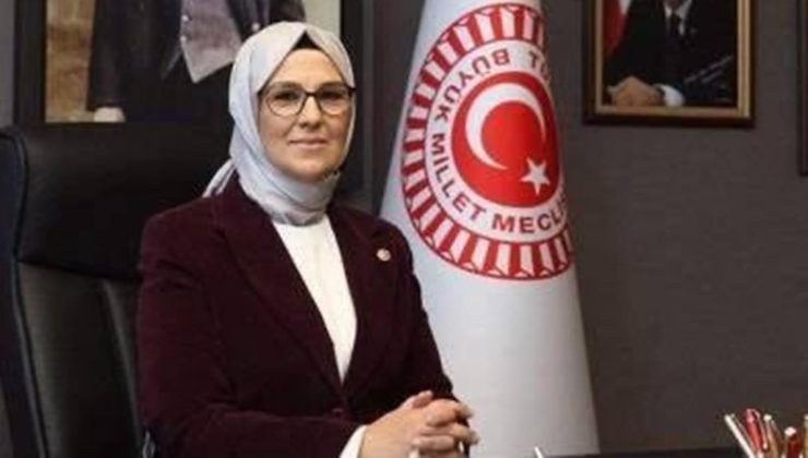 2 yıl hapis cezası alan YENİ Partili’den AKP’li vekile: “Nüfuzunu kullandı”