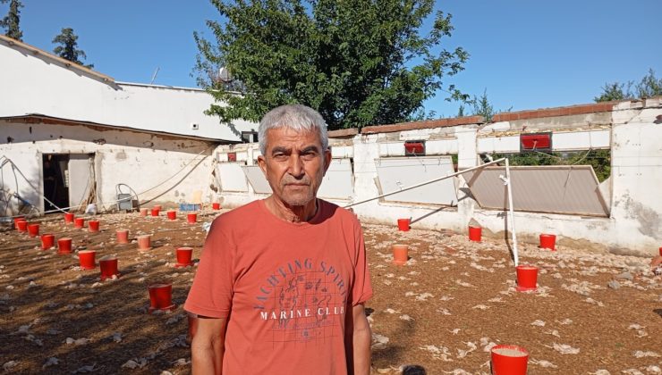 Adana'da felaketin bilançosu ağır: 20 bin civciv telef oldu
