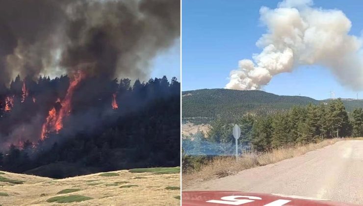 Ankara’da orman yangını: Ekipler seferber oldu